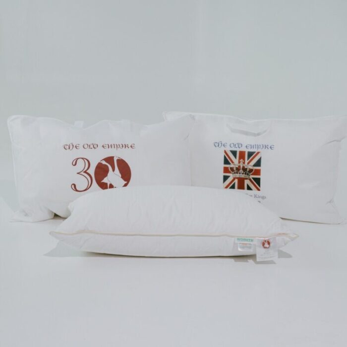 kent retreat down pillow 241008062126